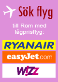 S&ouml;k billiga flyg till Rom.