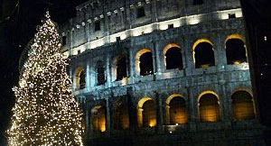 Christmas Tree Colloseum